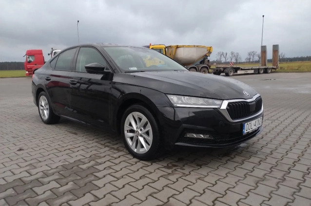 Skoda Octavia cena 76506 przebieg: 85000, rok produkcji 2020 z Małogoszcz małe 56